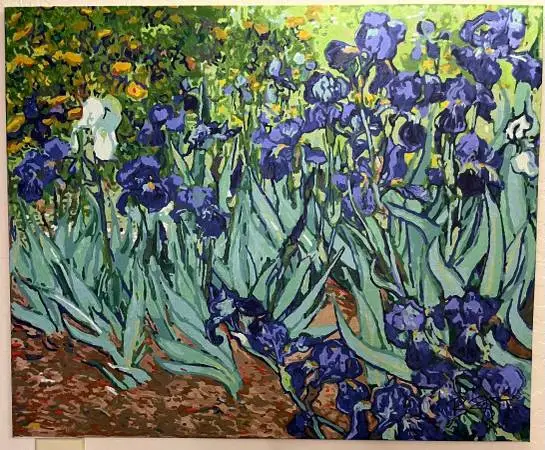 IRISES real acrylic painting