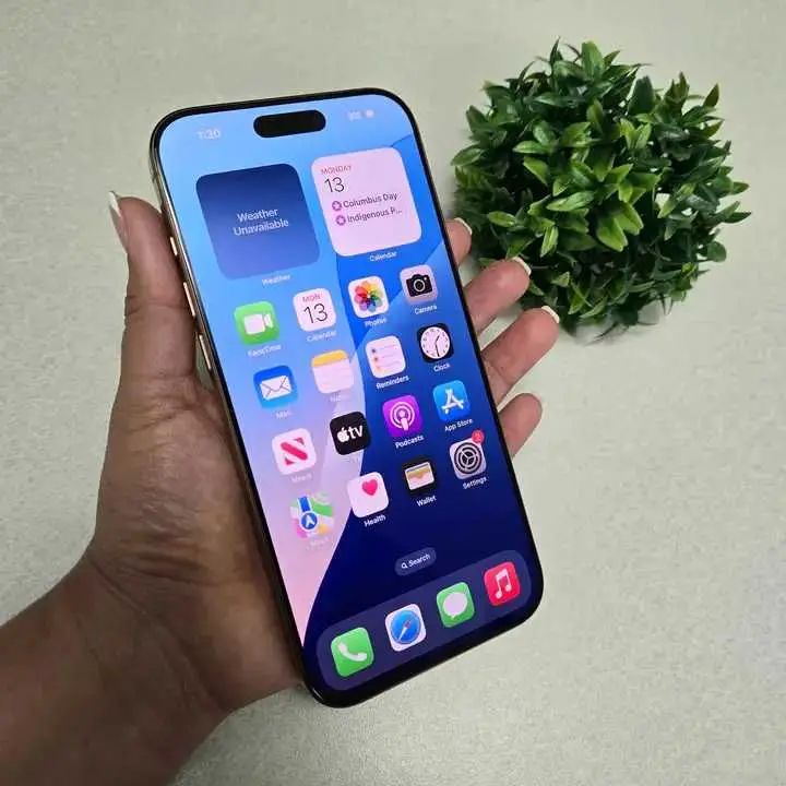 16 Pro Max — thumbnail 6