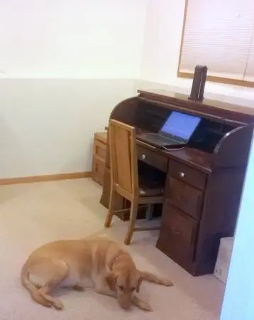 Roll Top Desk