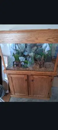 29 gallon aquarium
