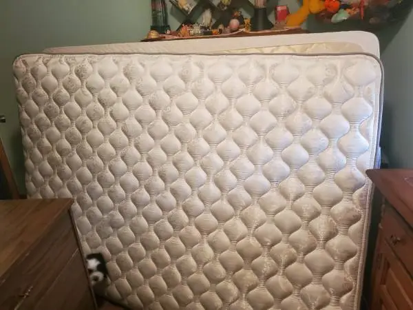 Full size mattresses