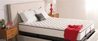 Twin Mattress set