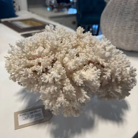 Natural White Coral- 13X10X6.5H- AS IS