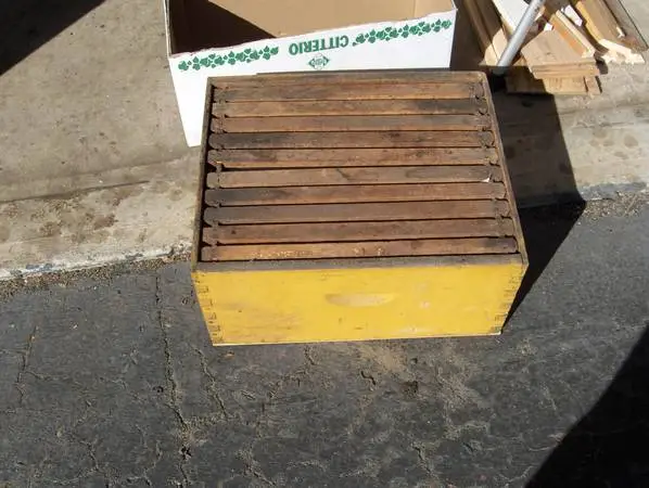 Beekeeping Beehive Honeybee  Deep super 9 5/8