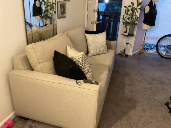 Sofa for sale $100 must sell