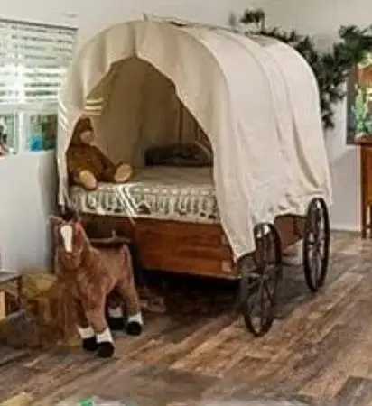 Covered Wagon Twin bed with ladder.