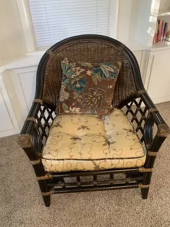 Beautiful Rattan Chair (World Market)