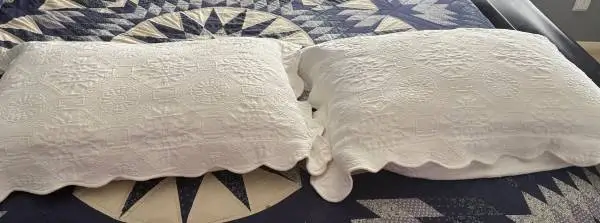 VINTAGE BEAUTIFUL WHITE DAMASK  EMBOSSED QUEENSIZE PILLOW SHAM SET