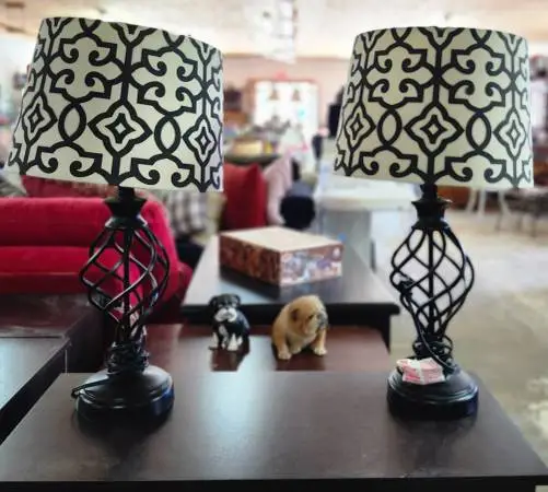 Pair of Spiral Cage Design Table Lamps