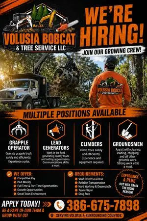 Tree Service Hiring All Positions