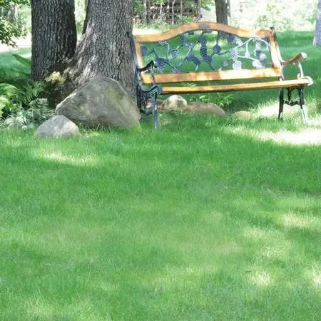 Landscape Laborer