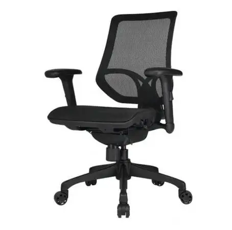 Ergonomic Mesh/Mid-Back Office Chair, Black
