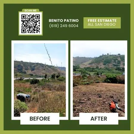 🌳 GENERAL CLEAN UP - FREE ESTIMATE 🌳