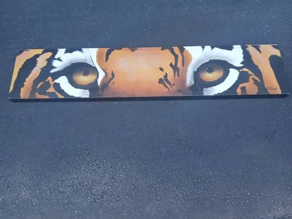 SAFARI TIGER EYES  LARGE 48