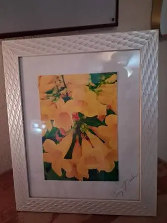 Custom photography framed
