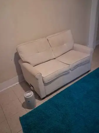 SLEEPER LOVE SEAT