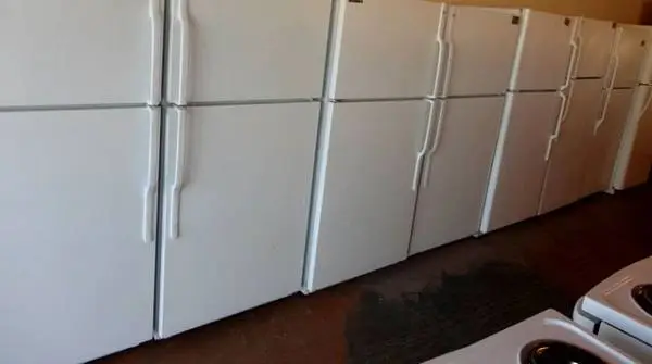 Regular size refrigerator fridges