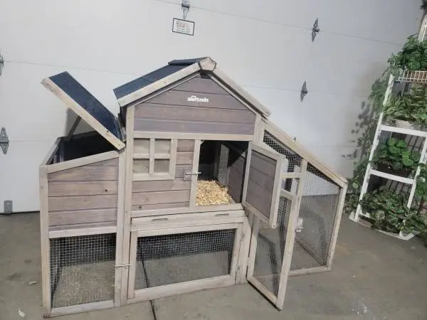 Chicken coop must see
