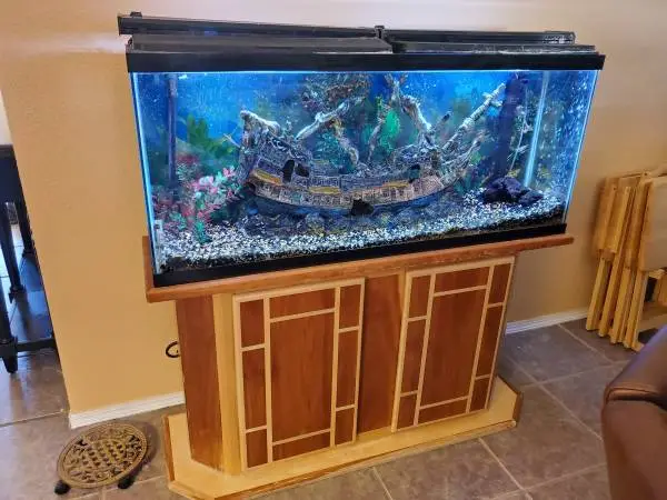 Salt water 55 gallon tank and Accessories