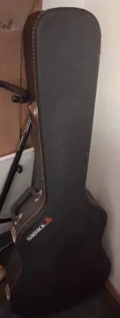 guitar case ▪︎ SAMICK hardshell guitar case