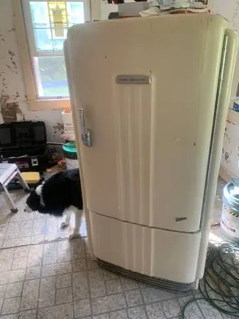 Refrigerator 1950