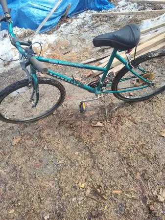 26 Roadmaster 15 speed bike