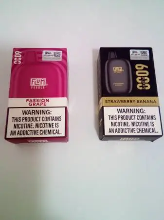 (2) FLum pebble rechargeable 14ml 6000k Vape(no emails cash only)$20