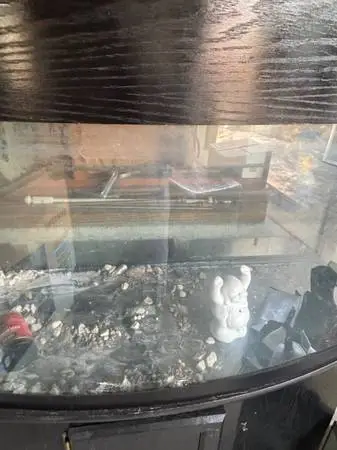 75 Gallon Saltwater Fish Tank with Cabinet – Good Condition – $600
