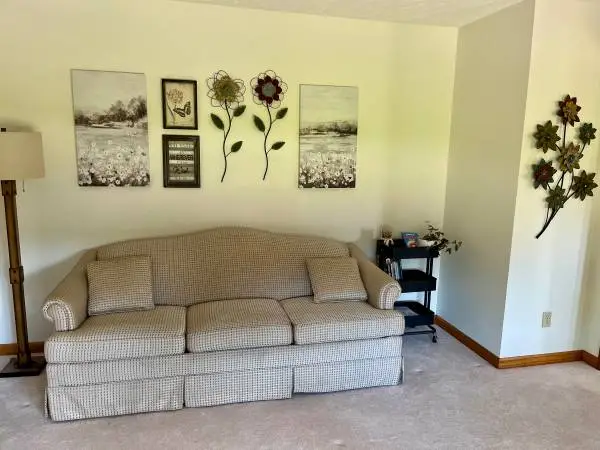 Sleeper sofa/couch