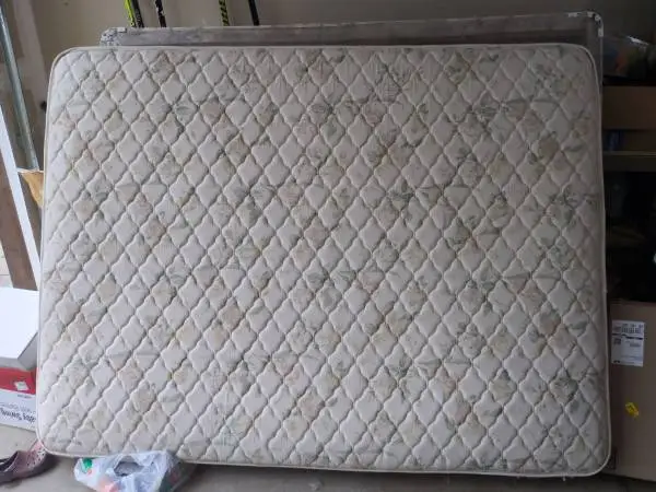 Queen mattress frame and box spring. No stains $50