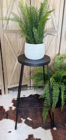 Stools Make Great Plant Stands!