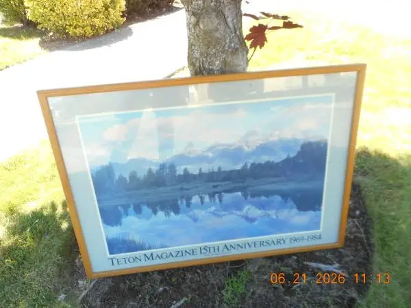 A nice framed Picture