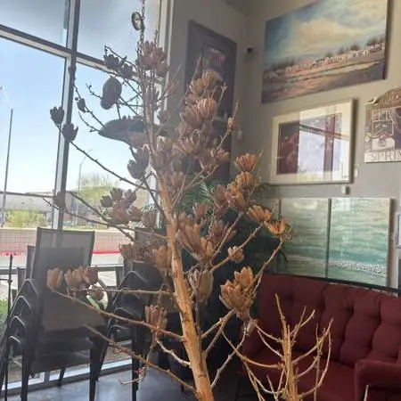 Dried Star Pod Stalks 5&8- Pair