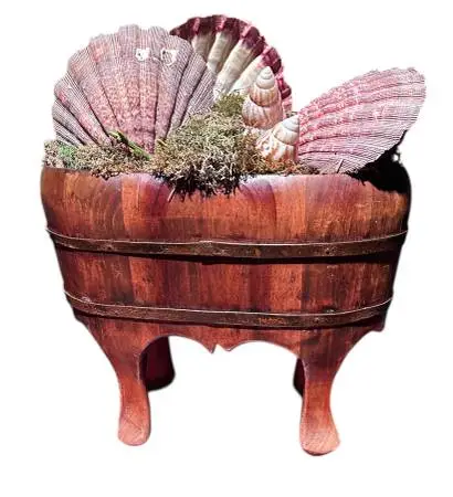 Chinese Wood Tub Sea Shell natural