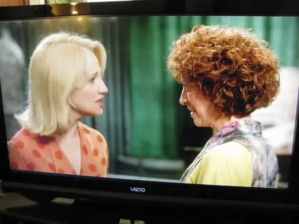 Vizio 42 Flat Screen TV W/ Remote