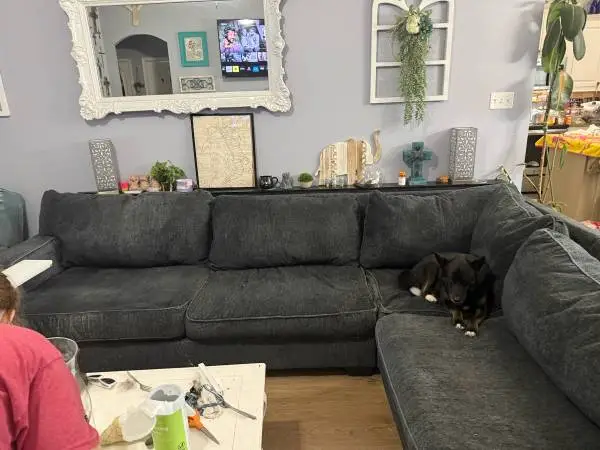 3yr old couch from vwatts 11’x11’ comes with two behind couch tables