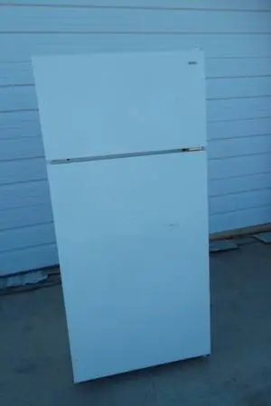 Kenmore 25336801891 Top-Freezer Refrigerator 20 Cu Ft Frost Free GREAT