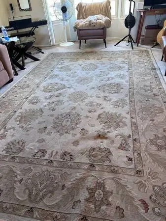 Large, Elegant 100% Wool Area Rug