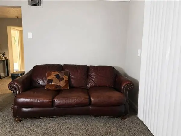 Leather and down feather couch