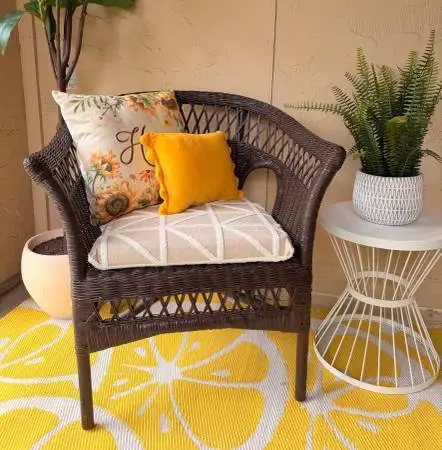 Nice Ratan Patio Chair