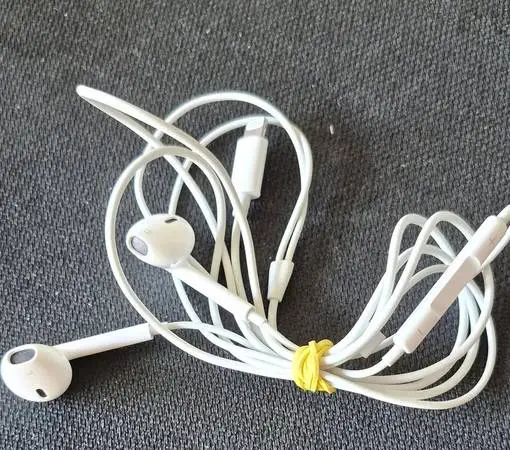 Official Apple EarPods with Lightning Connector – White