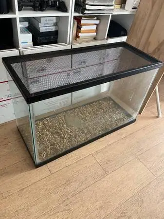 Fish Tank