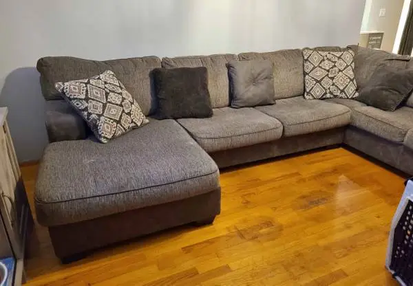 Levin Sectional couch
