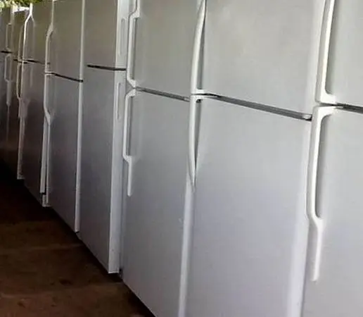 Bottom refrigerator with top freezer fridge