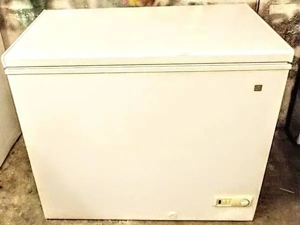 Bright White 7.2CF Chest Freezer