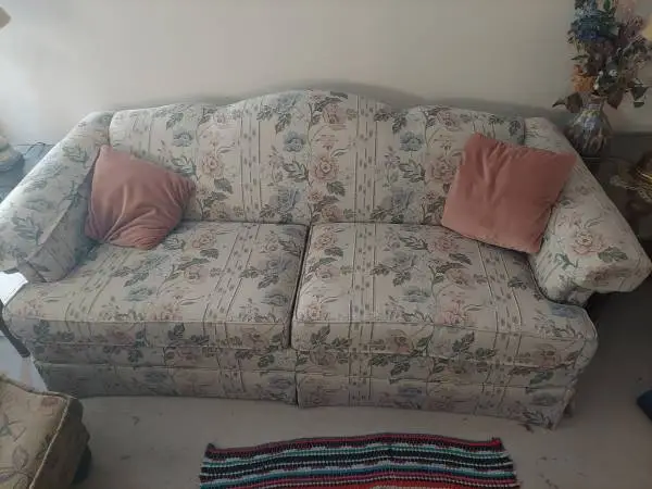 Sleeper Sofa