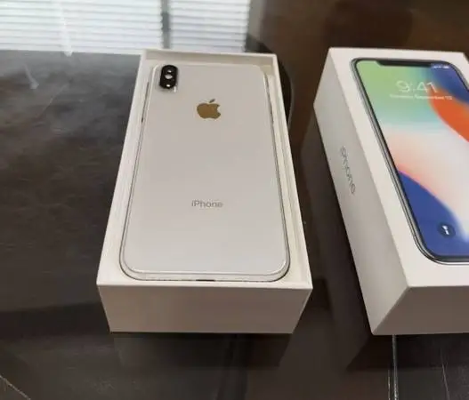 ~***Silver IPhoneX Outstanding 10th Anniversary Model***~