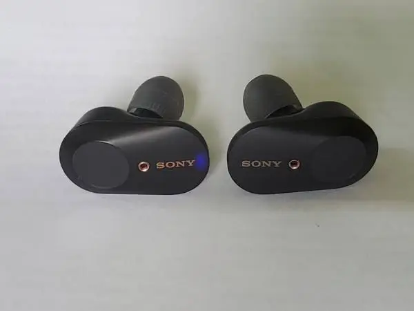 SONY Earbuds (new)