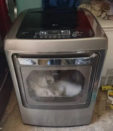 ELECTRIC DRYER LG HYDRO SHIELD SUPER CAPACITY WITH STEAM
