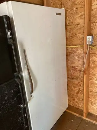 Older Upright freezer that works